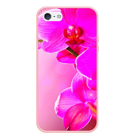 Чехол для iPhone 5/5S матовый с принтом Орхидея в Нижнем Новгороде, Силикон | Область печати: задняя сторона чехла, без боковых панелей | лепесток | новая | орхидея | природа | цветок | яркая