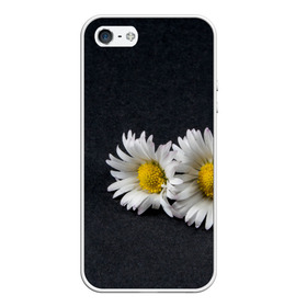 Чехол для iPhone 5/5S матовый с принтом Ромашки в Нижнем Новгороде, Силикон | Область печати: задняя сторона чехла, без боковых панелей | зелень | лепестки | пара | природа | растения | ромашки | цветы