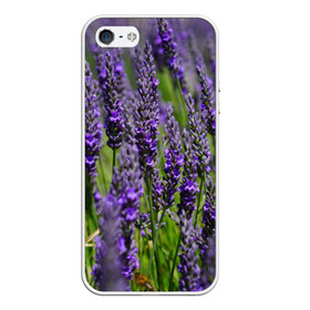 Чехол для iPhone 5/5S матовый с принтом Лаванда в Нижнем Новгороде, Силикон | Область печати: задняя сторона чехла, без боковых панелей | зеленый | зелень | лаванда | лето | поле | природа | синий | цветы