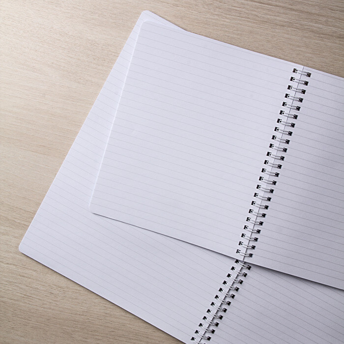 Тетрадь Король и Шут + Анархия (спина) фото