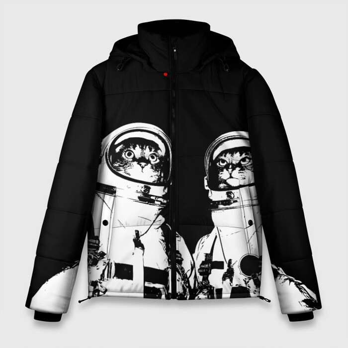 Мужская зимняя куртка 3D Коты Космонавты фото